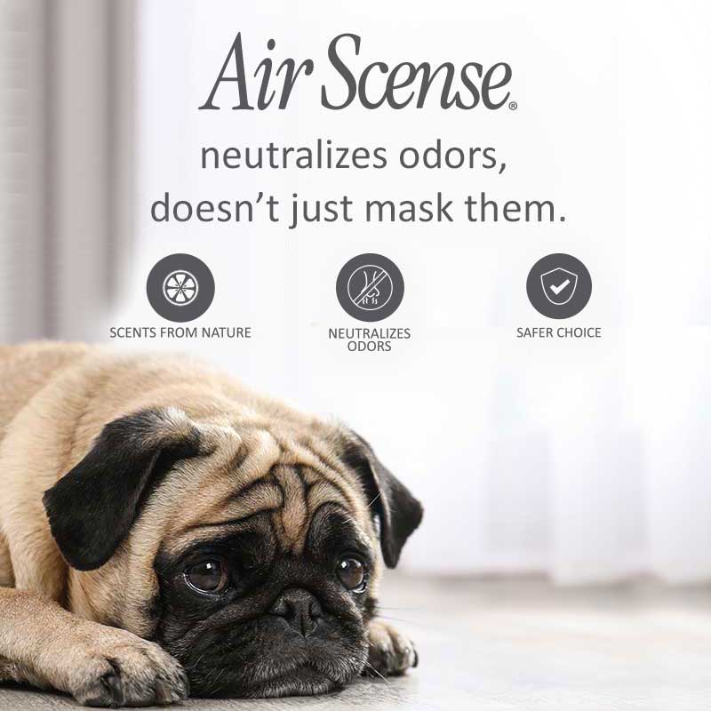 Air Scense | Safer For Your Pet Air Freshener | Pet Odor Eliminator To Keep Your Home Fresh, Clean, And Odor-Free