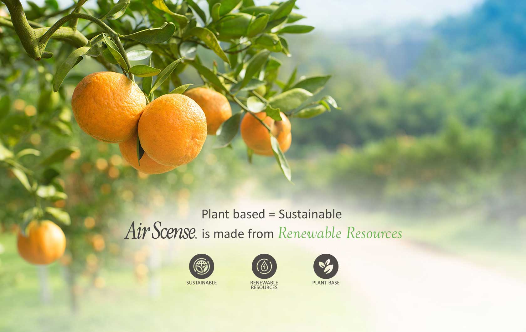 Air Scense | Best All Natural Citrus Air Freshener For A Zesty Scent Sustainably And Responsibly Made With Renewable Resources