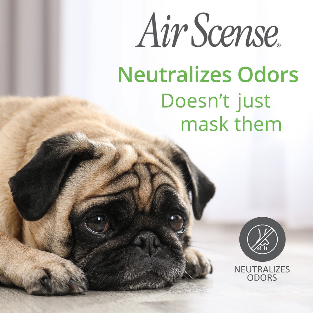 Air Scense Lime | Best Pre-Poop Toilet Spray Odor
